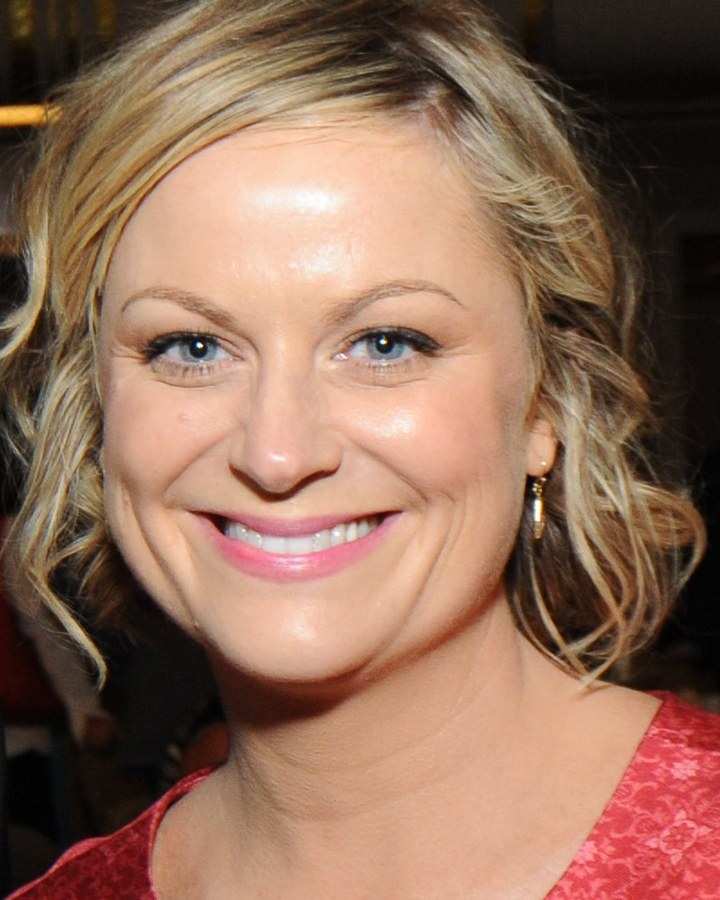 Amy Poehler in 2013
